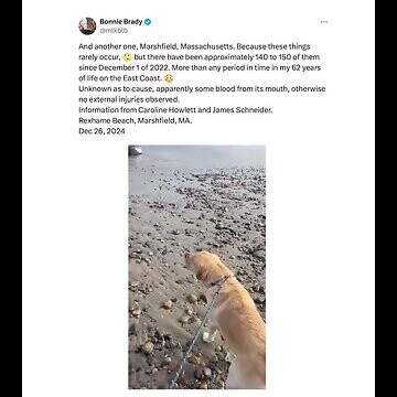 Video attached to this post