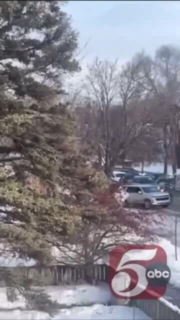 Video attached to this post
