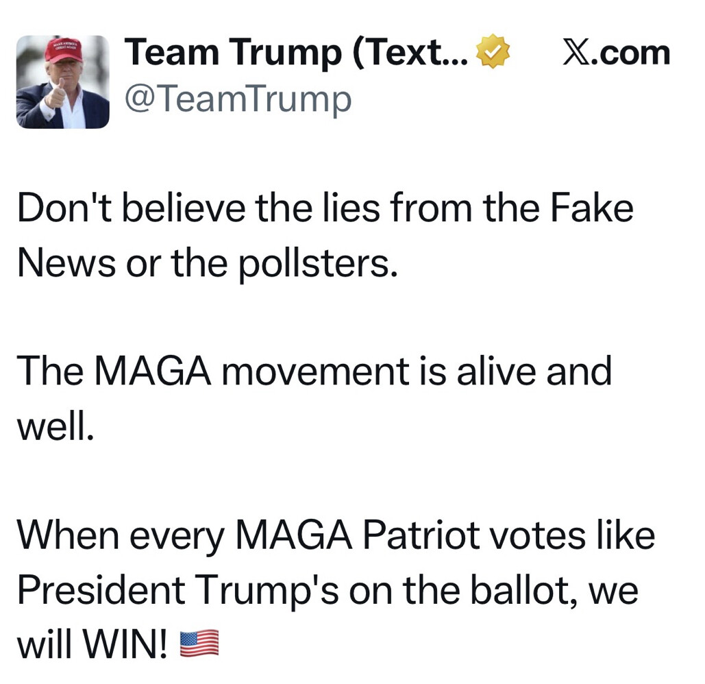 This image is a screenshot of a social media post from an account called "Team Trump" with the handle @TeamTrump on X.com. The post reads:

"Don't believe the lies from the Fake News or the pollsters.

The MAGA movement is alive and well.

When every MAGA Patriot votes like President Trump's on the ballot, we will WIN! 🇺🇸"