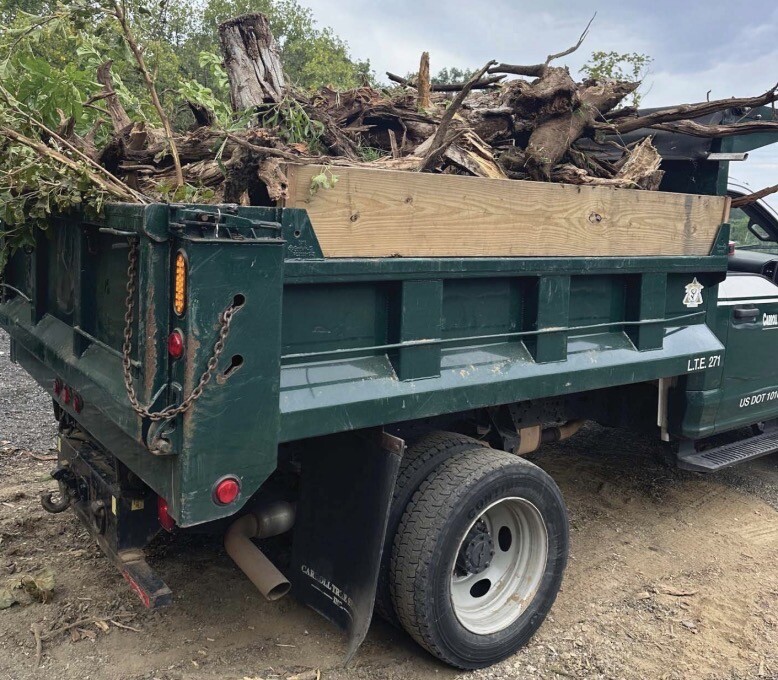 A green dump truck is shown filled with tree branches, logs, and debris. The side of the truck has markings that include "L.T.E. 271" and "US DOT" followed by a number. The truck has red tail lights, and chains are visible at the back. The truck appears to be parked on a dirt or gravel surface with foliage in the background.