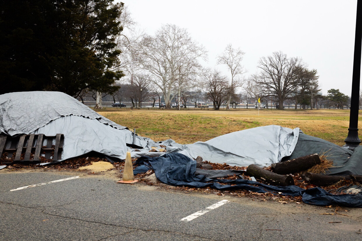 A gray tarp covers a pile of logs and debris near a road with a traffic cone and wooden pallet partially visible. Sparse trees and a grassy area occupy the background, with a line of cars in the distance. A lamp post is visible on the right side of the image.